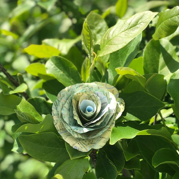 Teen Advocate Chasity ♀ - Picture 8 of 8